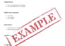 create a resume or CV in turkish or english, or even both